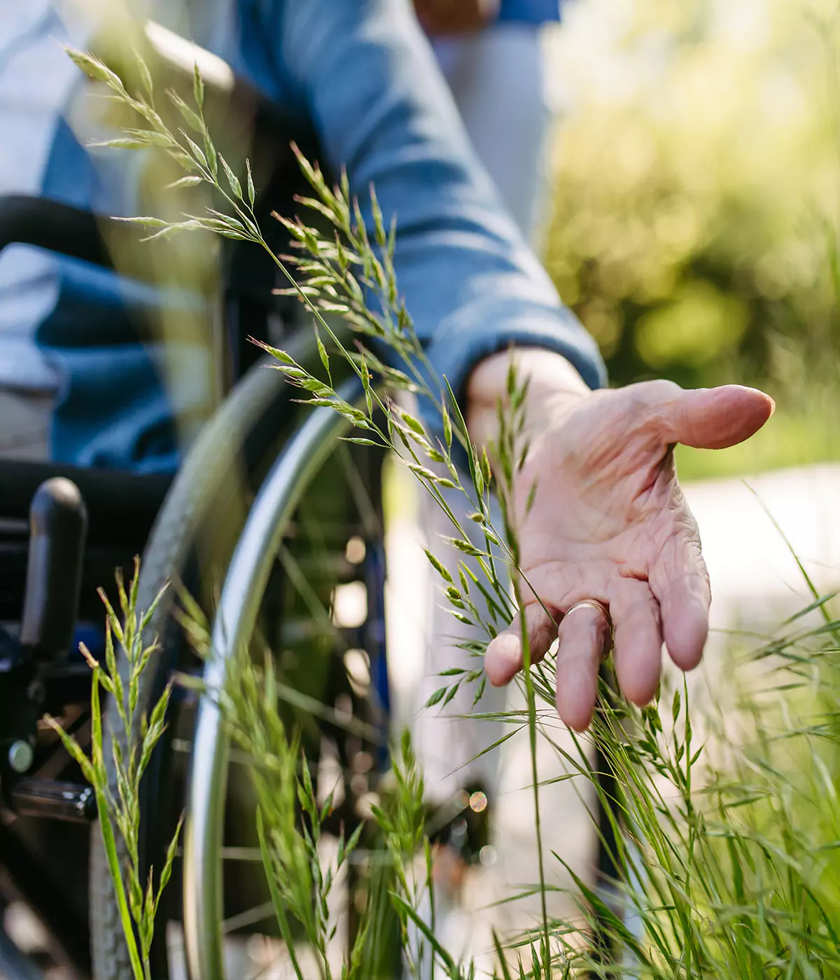 Rollstuhlfahrerin im Park Rollstuhlfahrerin im Park streift mit Iher Hand an einem Grashalm entlang